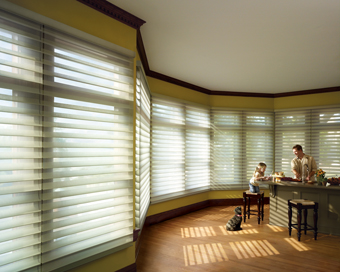 THE BEST BLIND COMPANY OUT THERE. - HOTBLINDS.COM - EPINIONS.COM